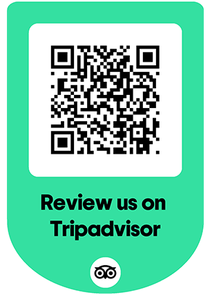 Trip advoisor review link